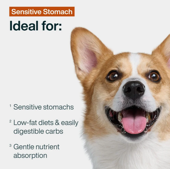 sensitive stomach