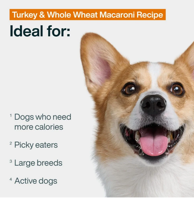 turkey & whole wheat macaroni