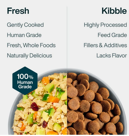 Turkey & Whole Wheat Macaroni