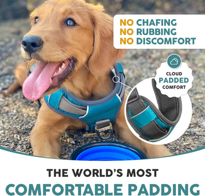 Embark Adventure Dog Harness, Easy on and off with Front and Back Leash Attachments & Control Handle - No Pull Training, Size Adjustable and Non Choke