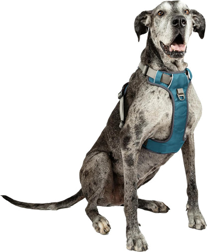 Embark Adventure Dog Harness, Easy on and off with Front and Back Leash Attachments & Control Handle - No Pull Training, Size Adjustable and Non Choke